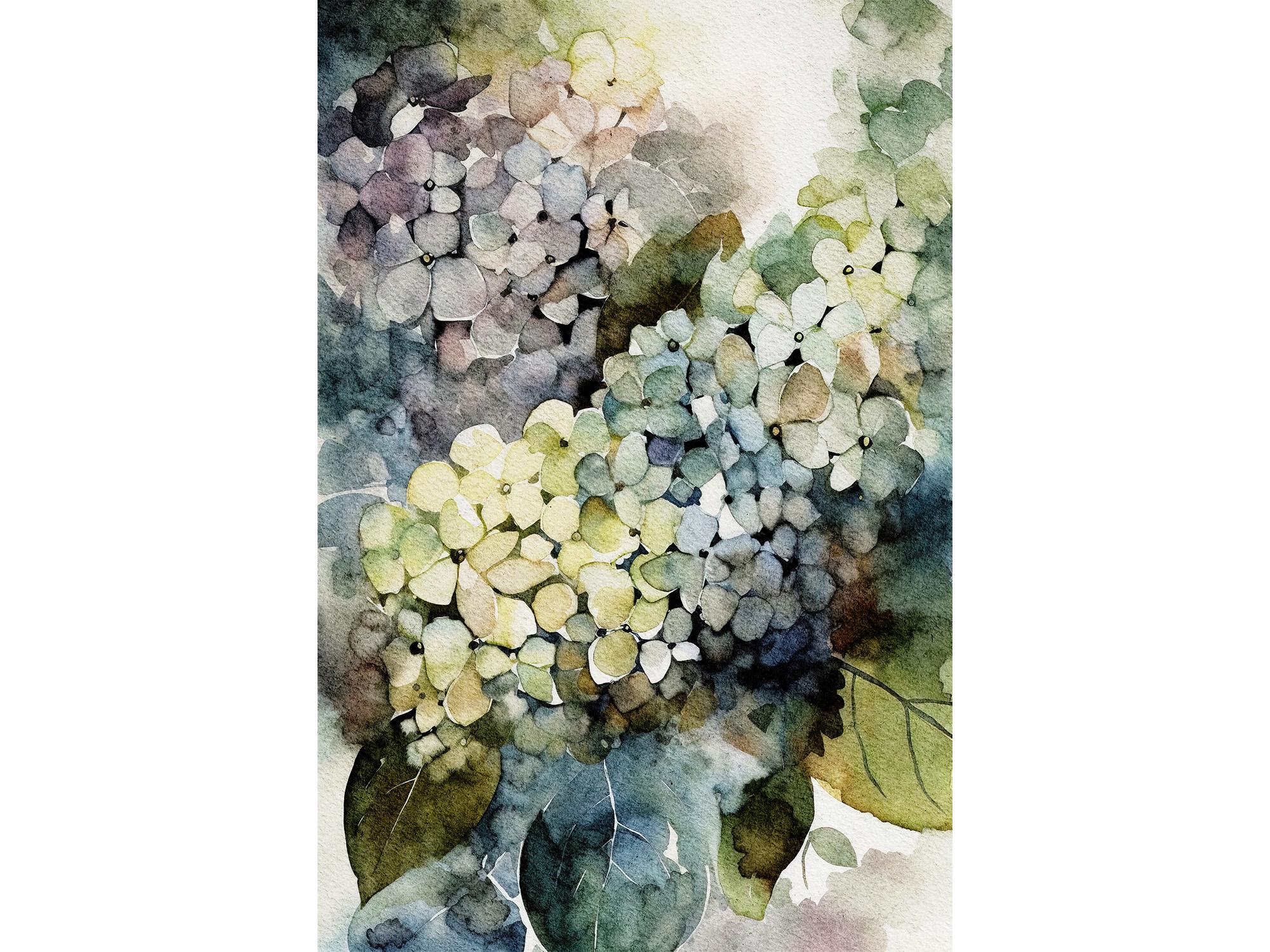 Hydrangea Watercolor Art Print Flowers Painting Floral Wall Art - Etsy