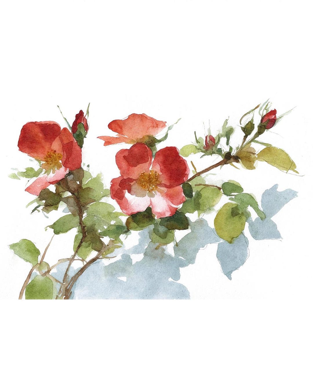 Watercolour Wild Roses Wild Rose Watercolor Art Print Pink Flowers Painting Floral Wall ...
