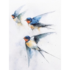 Barn Swallows Watercolor Art Print Bird Painting Swallow Artwork Flying Bird Poster