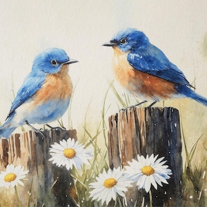Sialia aquarel print madeliefje schilderij paar vogel kunstwerk natuur muur kunst boerderij muur decor