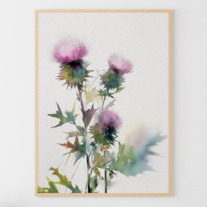 Thistle Watercolor Painting Scottish Flowers Art Print Wildflowers Wall Art  Floral Poster