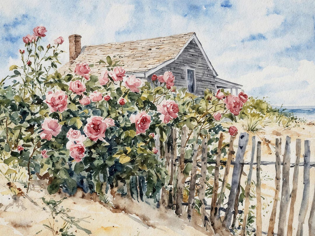 Cape Cod Watercolor Print: Beach House, Roses Garden Coastal Art - Etsy