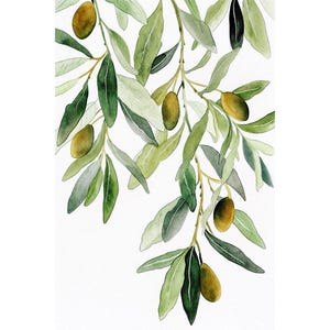 Olive Branch Watercolor Painting Neutral Botanical Art Print Kitchen Wall Art Olive Tree Poster