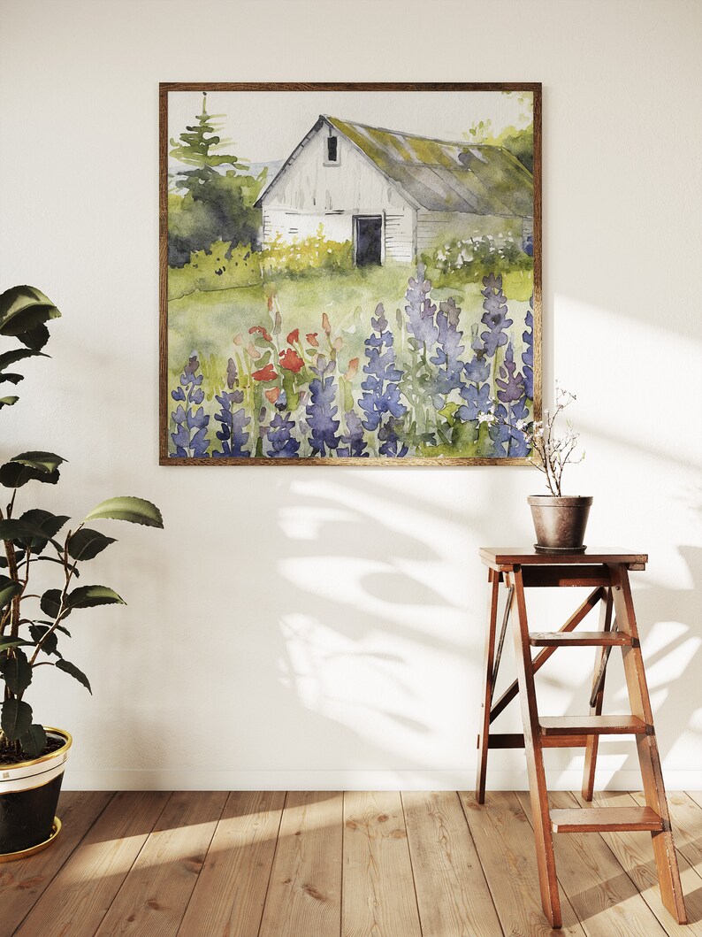 Bluebonnets Field Painting White Barn Watercolor Art Print Rustic Wall ...