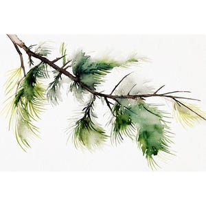 Ramo di pino, dipinto ad acquerello, poster di pino, stampa artistica di piante del bosco, arte murale verde, opera d'arte sempreverde