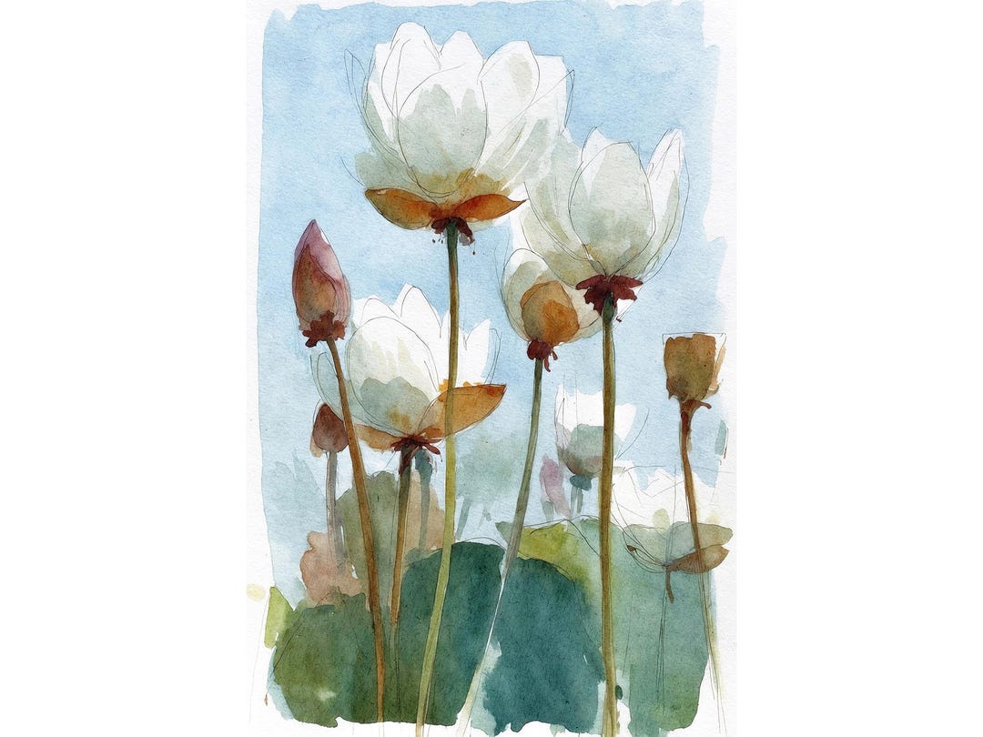 White Lotus Watercolor Art Print Water Lilies Painting Floral Wall Art ...