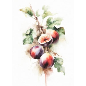 May include: Watercolor painting of figs on a branch. The artwork depicts several ripe figs in shades of purple, red, and cream, with one cut open to reveal the interior. Green leaves and a brown branch complete the composition.