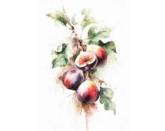 Op de afbeelding: Waterverfschilderij van vijgen aan een tak. Het kunstwerk toont verschillende rijpe vijgen in tinten paars, rood en crème, waarvan er één is opengesneden om de binnenkant te laten zien. Groene bladeren en een bruine tak completeren de compositie.