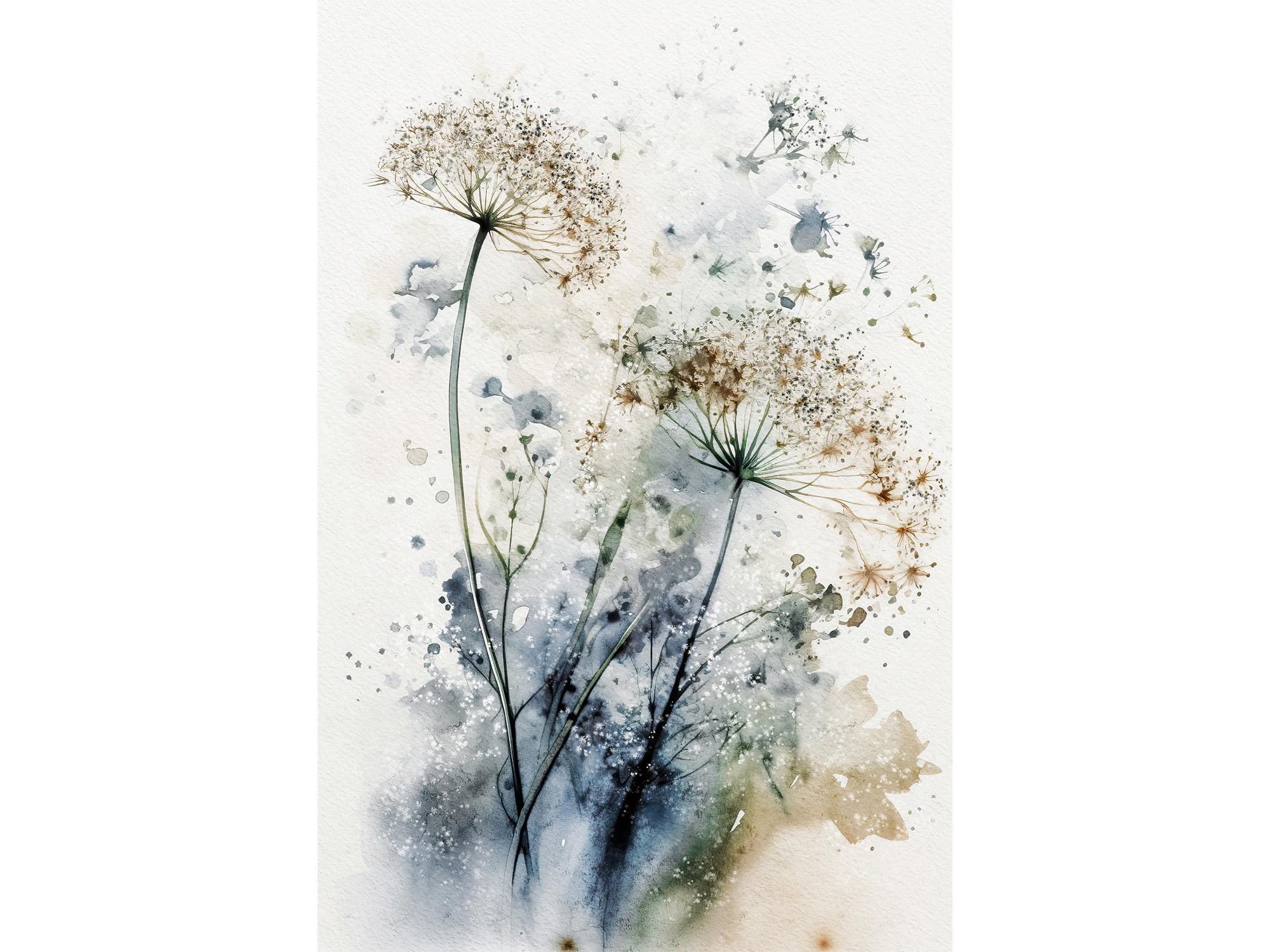 Queen Anne's Lace Watercolor Painting Wildflowers Art Print Floral