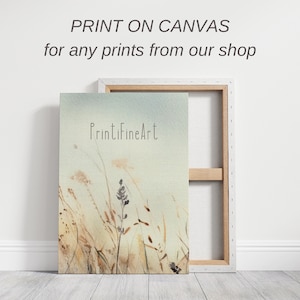 Druck auf Leinwand für alle Drucke aus dem Shop