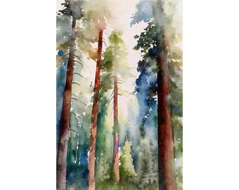 セコイア国立公園の絵画、松の木のアートプリント、カリフォルニアの