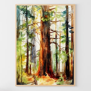 Sequoia Trees Watercolor Painting Redwood Forest Art Print National Park Poster Nature Wall Art