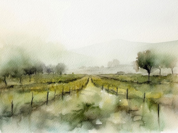 Napa Valley Vineyard Watercolor Art Print: California Landscape