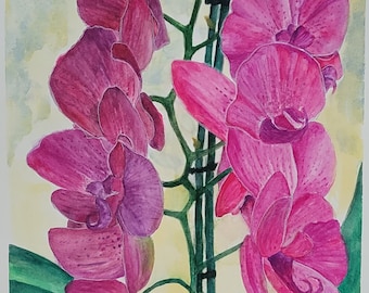 ブドウの絵 花 イラスト：17 件の「葡萄参考例」のアイデアを見つけましょう