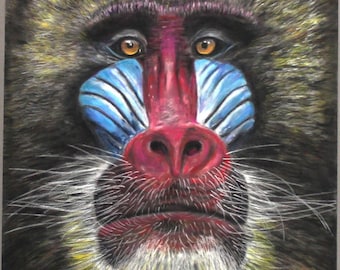 Original Mandrill Monkey pastel drawing