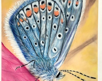 Original Butterfly pastel drawing