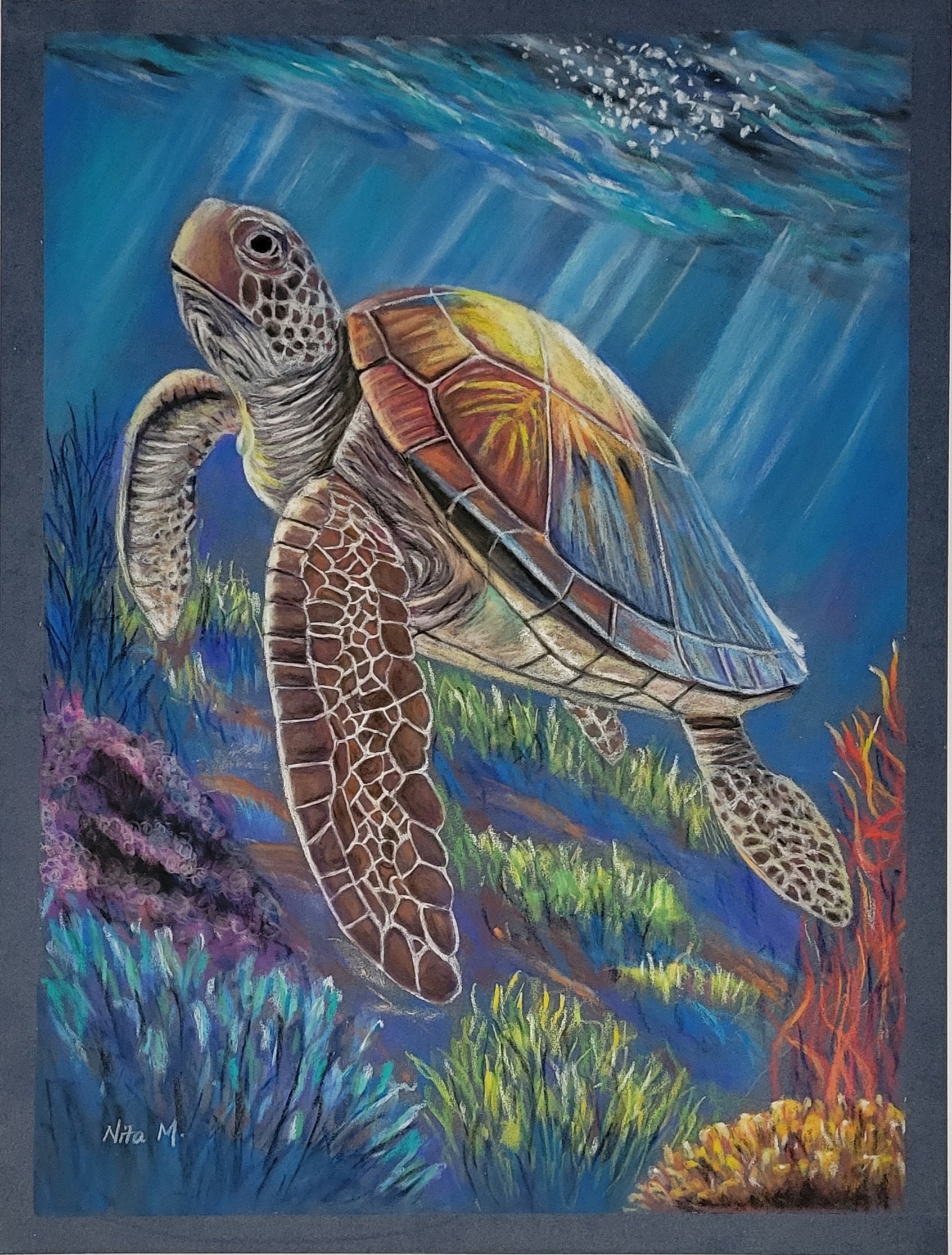 ★Original ART ‘Turtle’ Original Framed - Turtle Love 2 turtles – Ocean Love Art