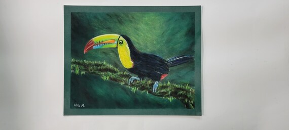 オリジナルのオオハシパステル、色鉛筆画 - Etsy 日本