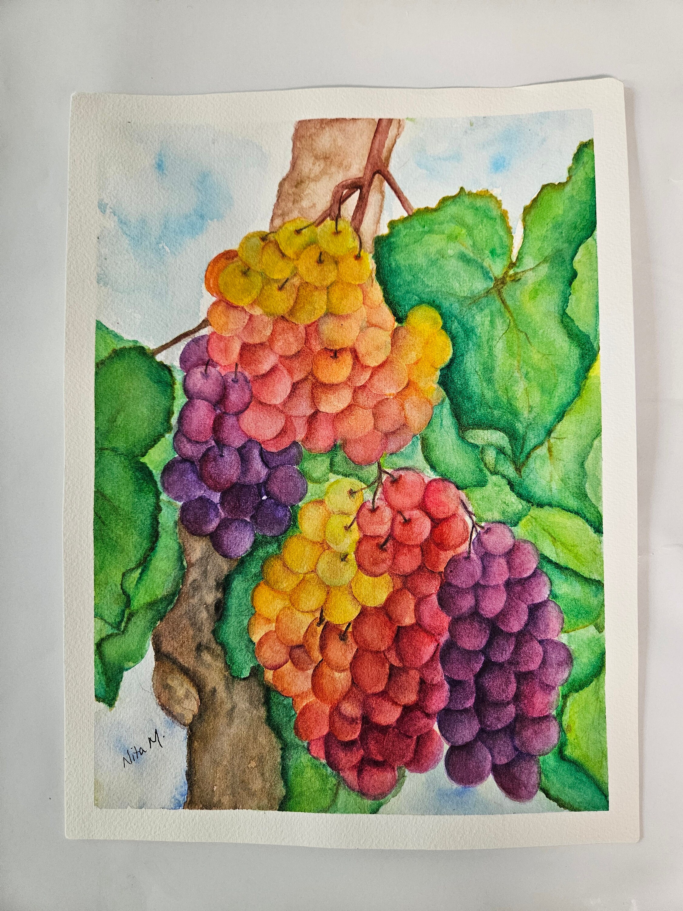 ぶどうの水彩絵 水彩画】葡萄を写実的に描くポイント「画材公開します」「透明