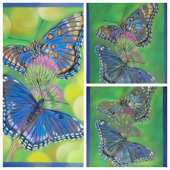 オリジナル花の上の蝶パステル画 12