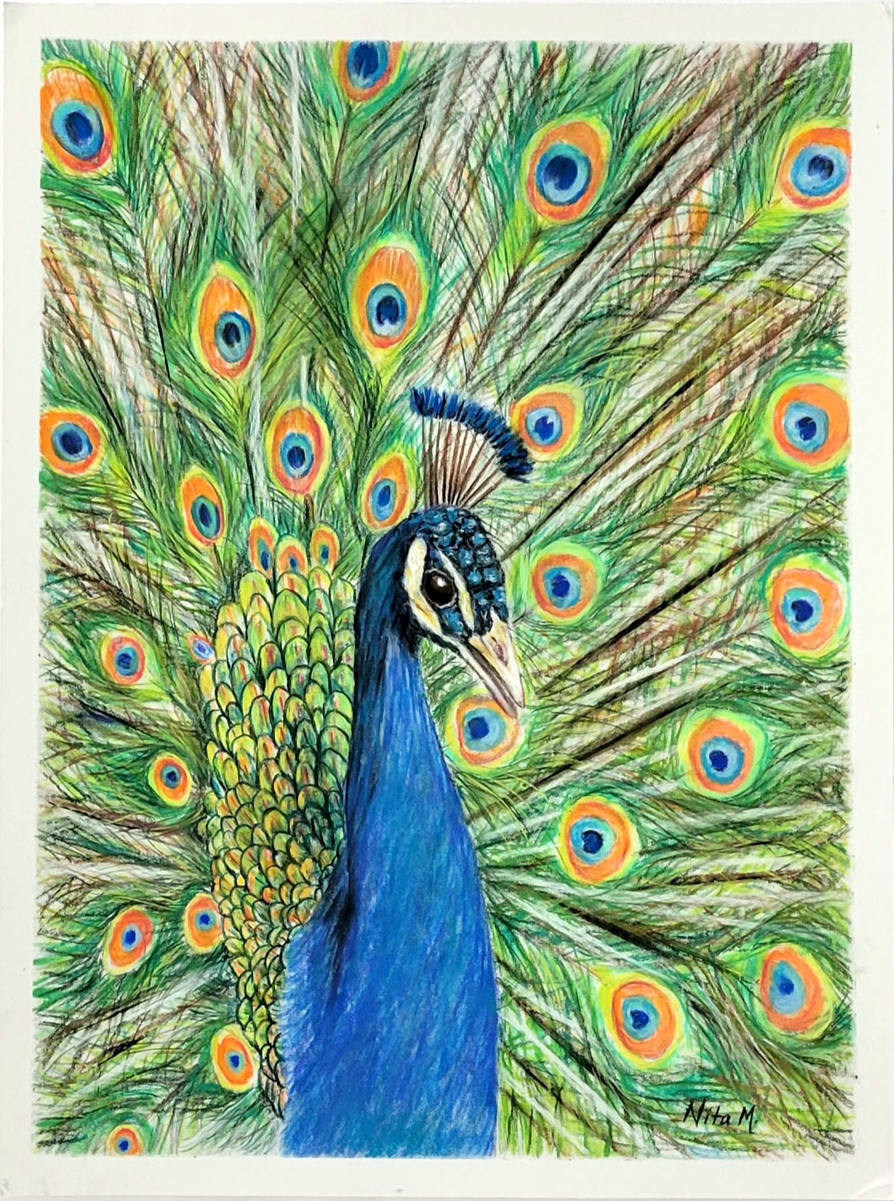 ★Original ART  ‘Peacock’ Peacock Original Painting - Etsy
