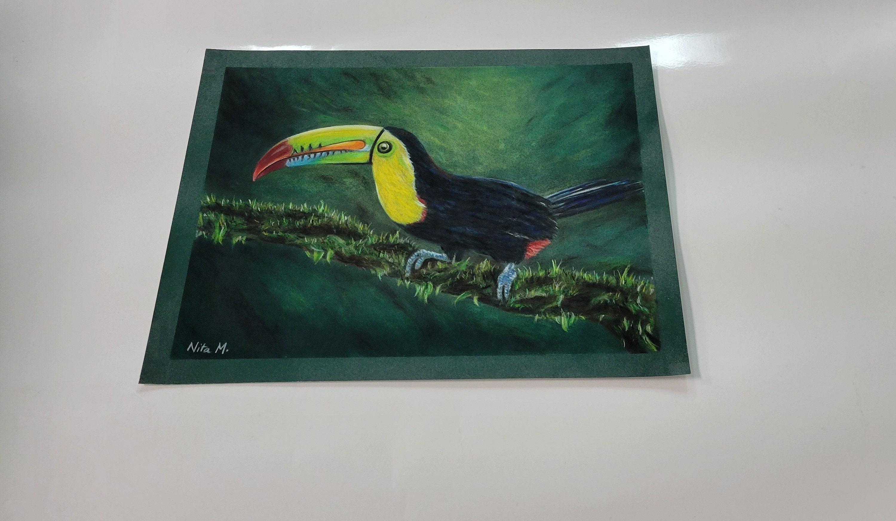hunt 色鉛筆画 パステル 楽天市場】【送料無料】色鉛筆 60色セット パステル カラーペン
