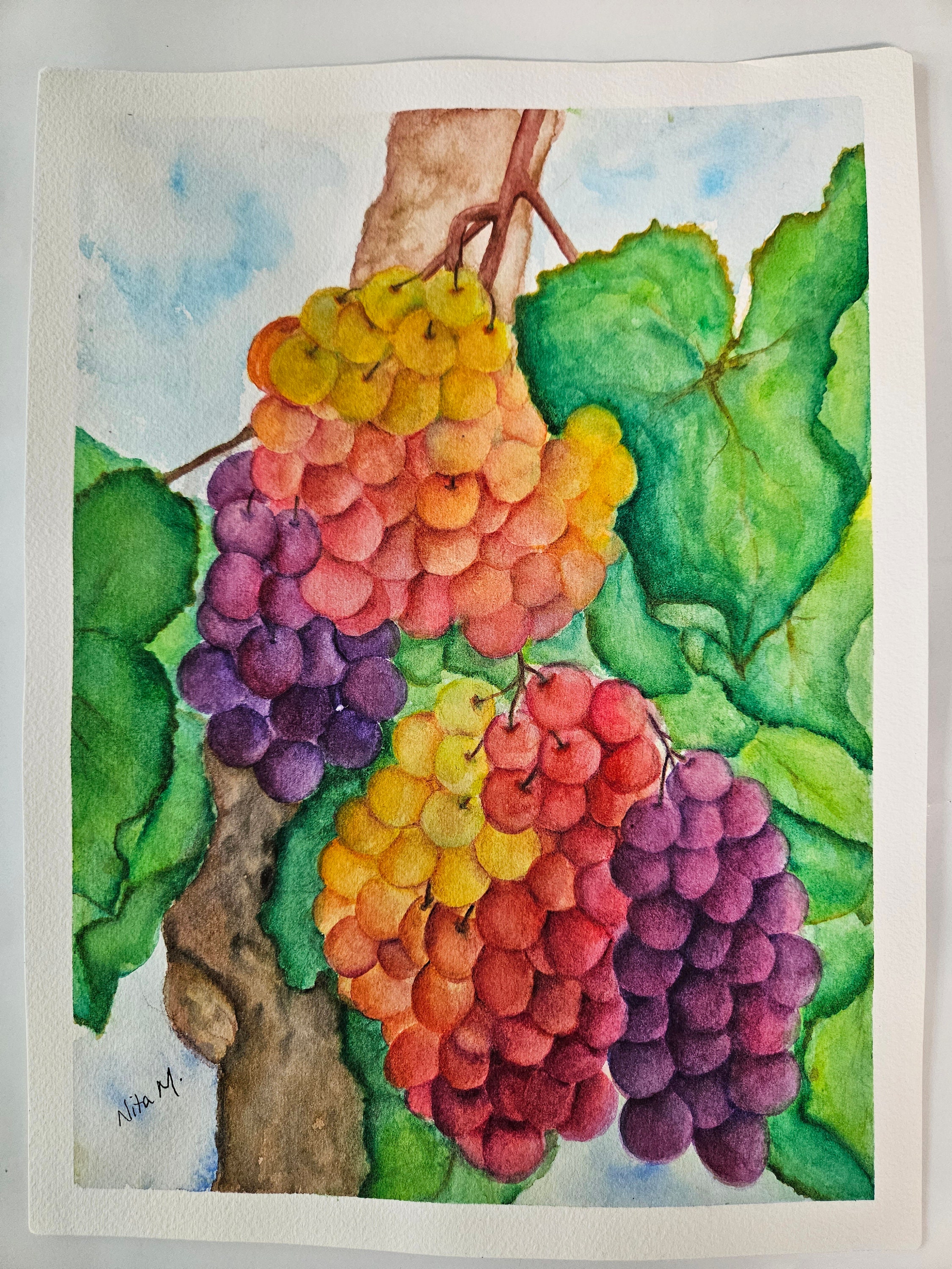 オリジナルの水彩画「ブドウの木のブドウ」9