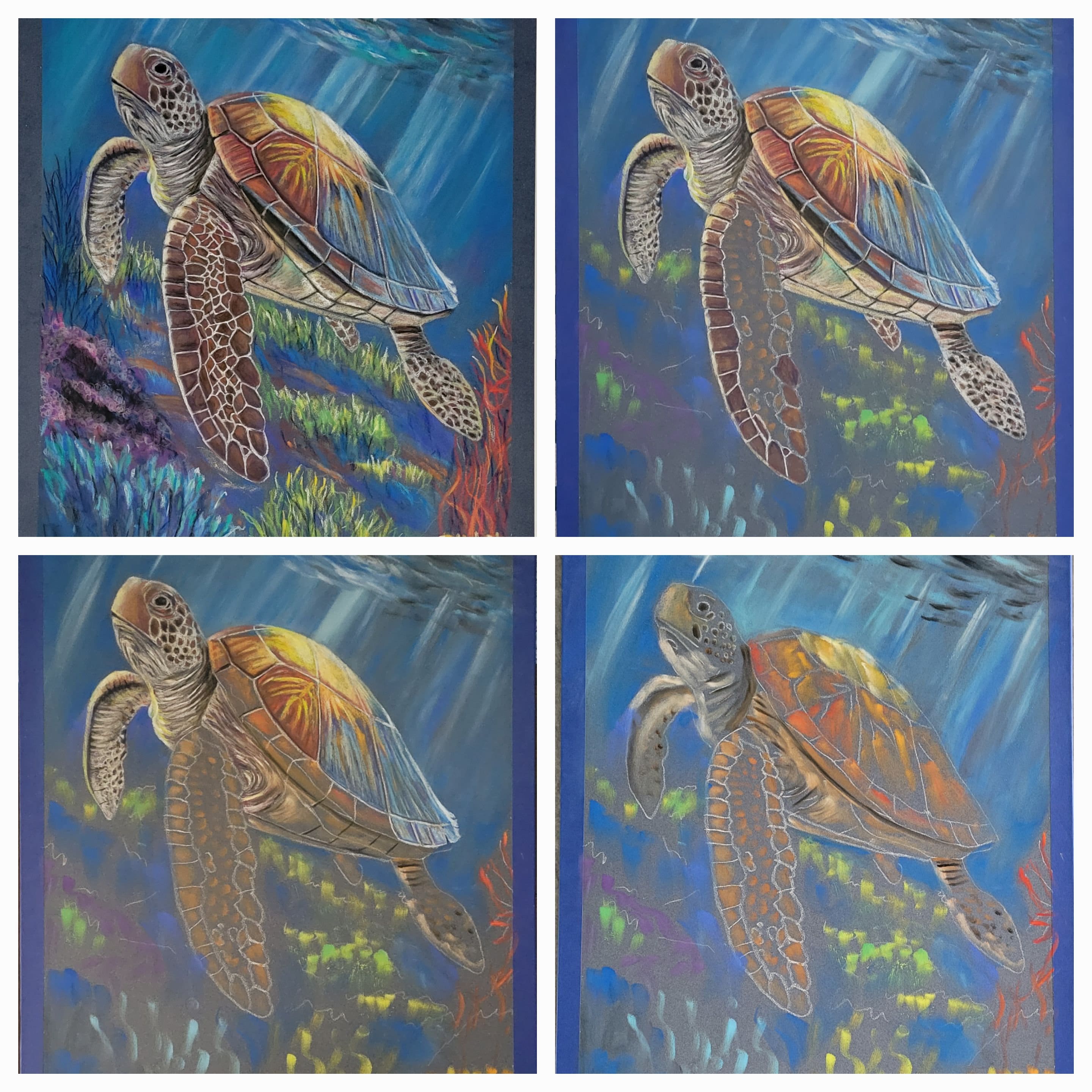 Original Turtle Under Ocean Pastel Drawing 12