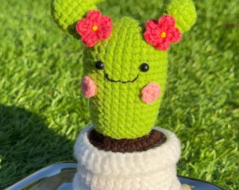 Handmade Crochet Cactus: Emotional Support Plant, Plant Lover Gift