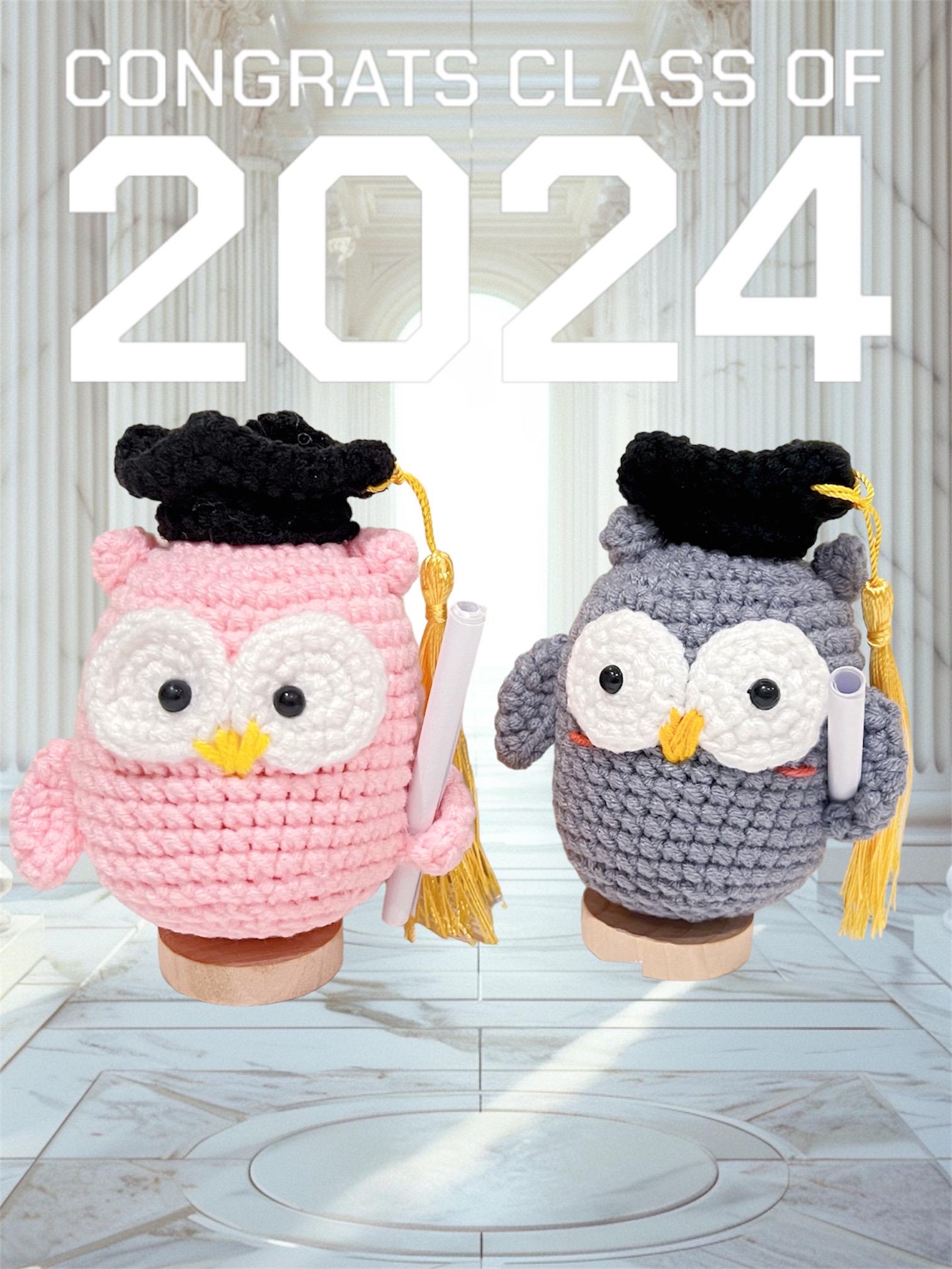 Handmade Crochet Dr. Owl with Certification Paper – Graduation Gift for Medical Students/Handmade Doctor or Nurse Gift