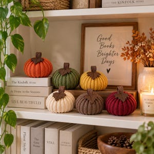 May include: A set of six small, round, knitted fabric pumpkins in orange, olive green, yellow, cream, brown, and burgundy. Each pumpkin features a dark brown fabric stem and a single brown felt leaf attached to the top, arranged on a white shelf.