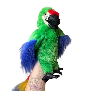 May include: A plush parrot toy with vibrant green, blue, red, and yellow coloring. The parrot has a black beak and feet, and is held up against a white background. The toy is soft and fluffy, with a detailed design.