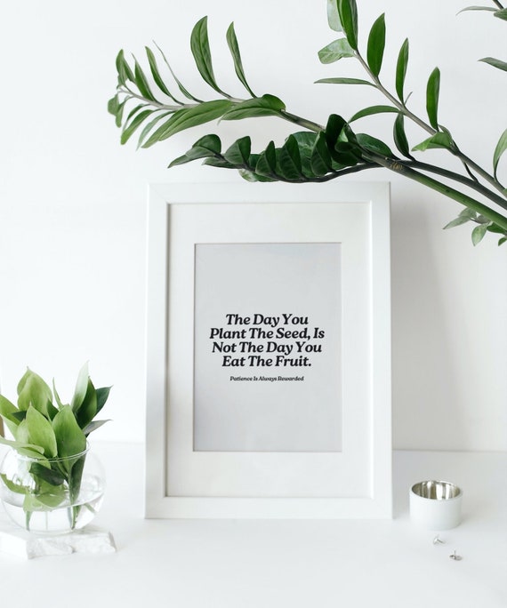 The Day You Plant the Seed is Not the Day You Eat, Trendy Retro Quote Wall  Art, Digital Wall Art Print, Aesthetic Quote, Love Quote Poster - Etsy