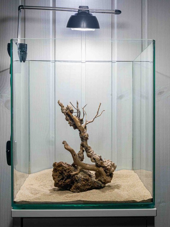 Hardscape Design for Nano Aquarium Ref. H07 Nature Aquarium Ornament Fish Tank Decor Wood Plants Etsy