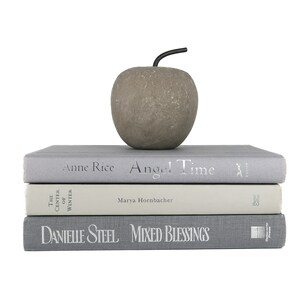 Book Bundle of Gray Decorative Hardcover Books - Home Decor Books - Real Estate Staging Books - Light Neutrals Book Stacks - Cool Hues