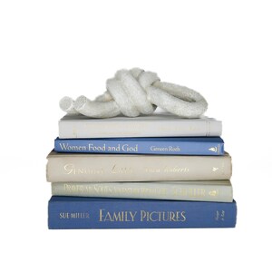 May include: A stack of five books in various colors, topped with a white decorative knot. The books include titles like "Women Food and God" and "Family Pictures". The books are in shades of blue, cream, and white.