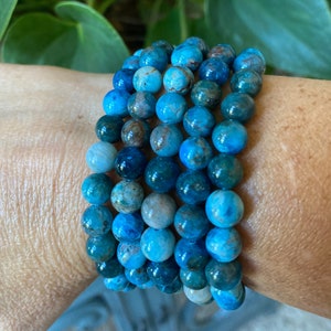 Blue Apatite Bracelet | 8mm