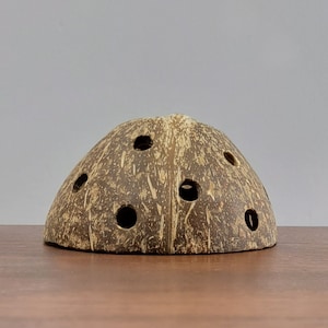 May include: A brown coconut shell with multiple circular holes. The shell has a rough, textured surface and is cut in half, creating a dome shape. The holes are evenly spaced around the shell.