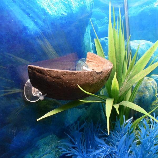 All Natural Betta Tank Decor Betta Rest Coconut Rest