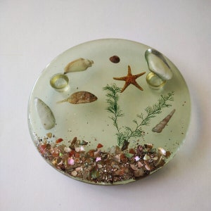 Vintage Lucite Sea Shell Star Fish 6.5&quot; Coastal Nautical Trivet, Free US Ship