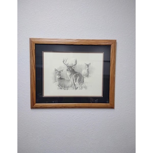 Vintage Whitetail Deer Buck Framed Print Artist Dallen Lambson 22x18&quot; Wall Mount