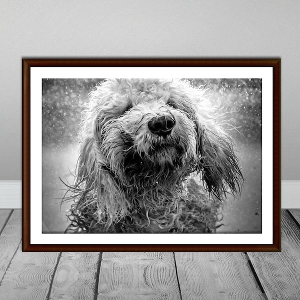 Dog Wall Art, Black and White Dog Print, Dog Photo Art, Animal Print, Dog Bath Art, Puppy Prints, Funny Dog Poster, Dog Photography,Pet Art