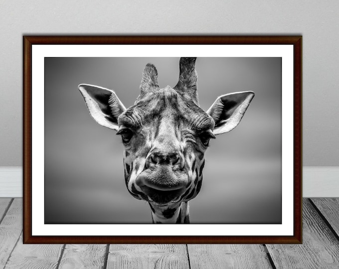 Giraffe Photograph, Wildlife, Black and White, Animal, Safari, African, Print, Art, Photography, Giraffe Print, Travel, Fine, Nursery, Decor