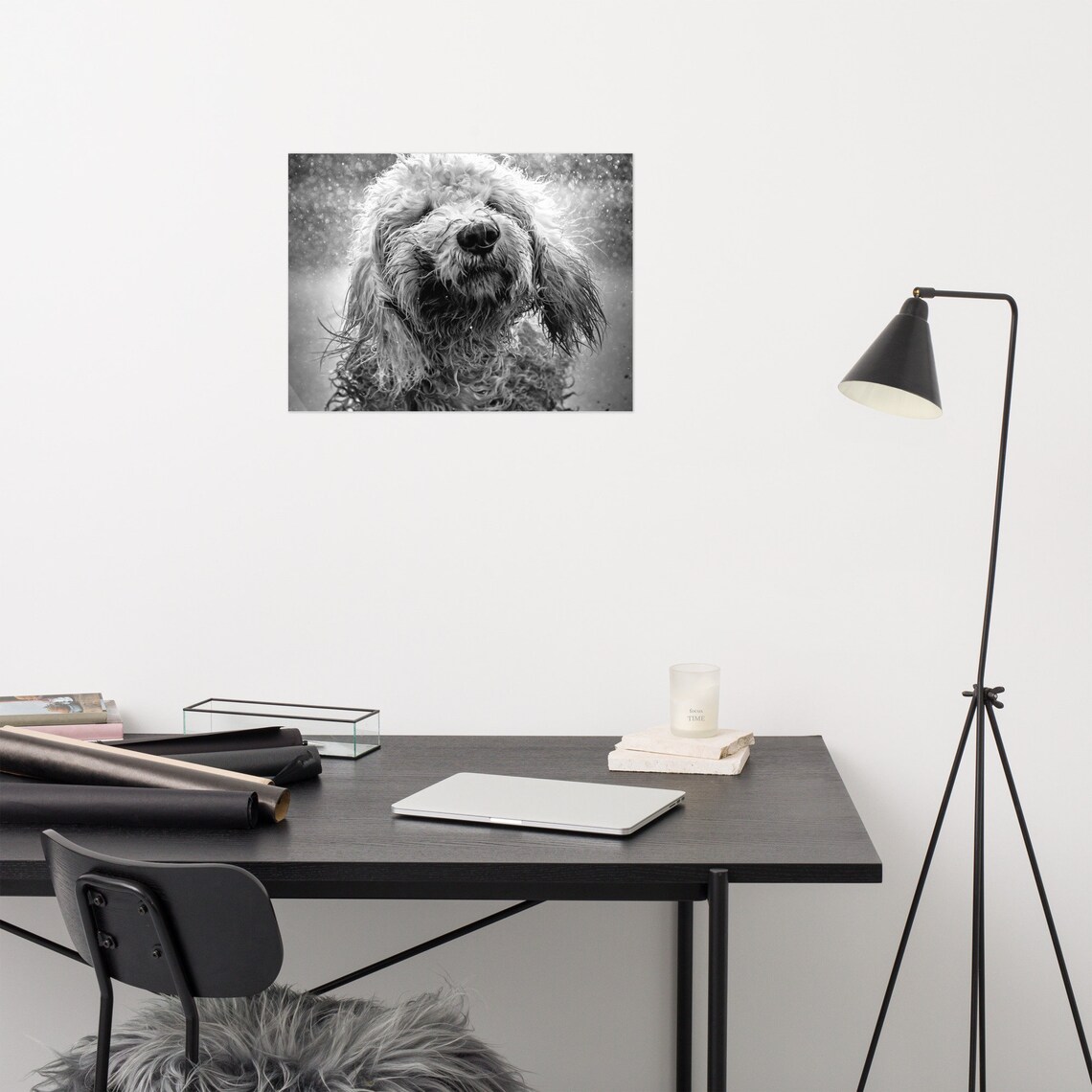 Dog Wall Art, Black and White Dog Print, Dog Photo Art, Animal Print, Dog Bath Art, Puppy Prints