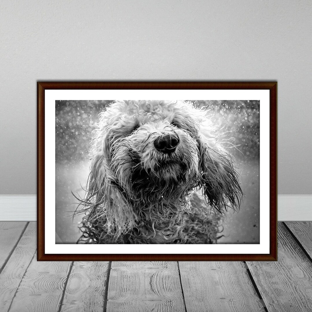 Dog Wall Art, Black and White Dog Print, Dog Photo Art, Animal Print, Dog Bath Art, Puppy Prints