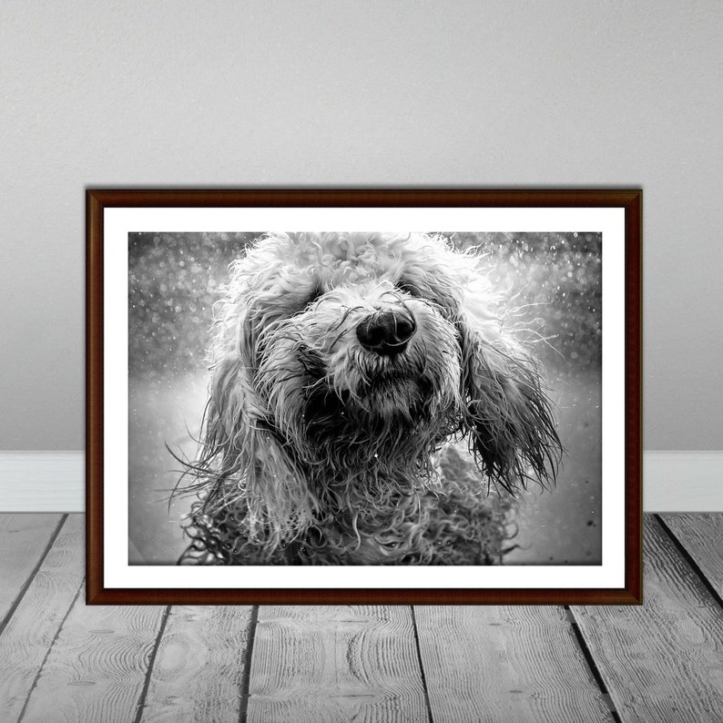 Dog Wall Art, Black and White Dog Print, Dog Photo Art, Animal Print