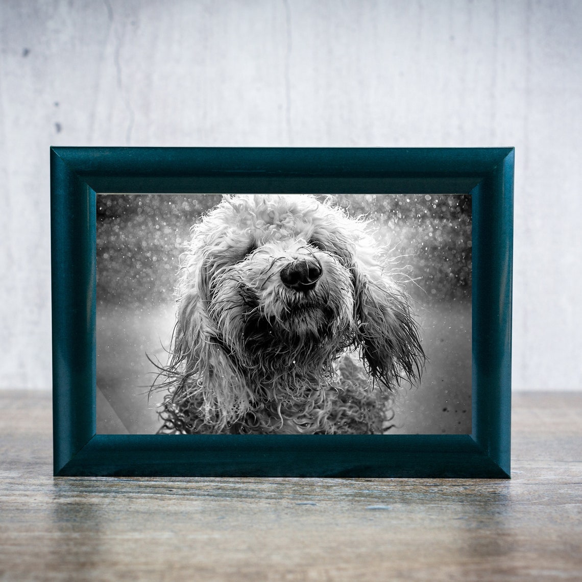 Dog Wall Art, Black and White Dog Print, Dog Photo Art, Animal Print, Dog Bath Art, Puppy Prints