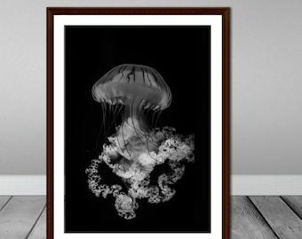 Jellyfish Photo, Jellyfish Print, Sea Life Wall Art, Jellyfish Decor, Black and White Jellyfish Photograph, Jellyfish Wall Decor, Nautical