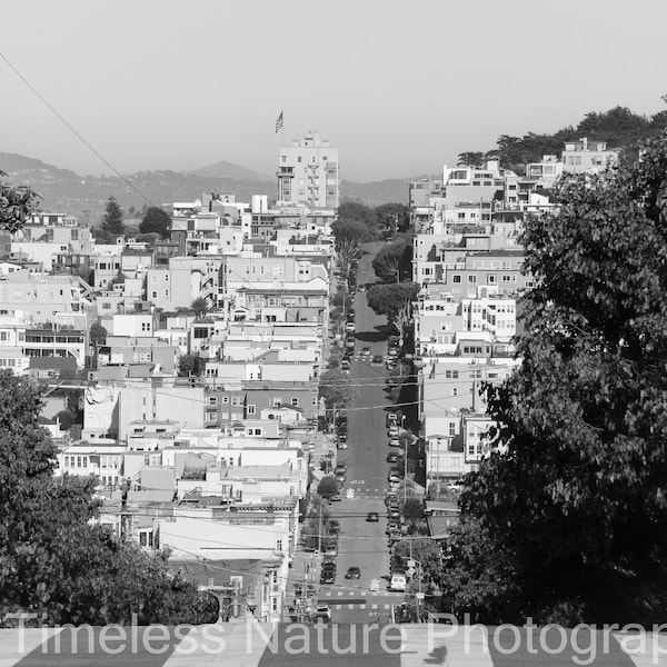 San Francisco Street Black & White