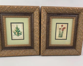 Vintage Botanical Flowering Plants Pictures Custom Textured Frames 12x13 Pair Cottage Core
